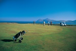 Nefyn Golf Club
Golf
Activities & Sports