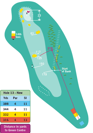 hole 13